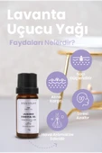 Lavanta Uçucu Yağı %100 Saf 10 ml - 2