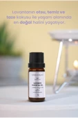 Lavanta Uçucu Yağı %100 Saf 10 ml - 4