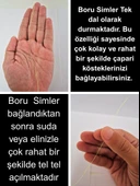 Eagenset Hazır Çapari Kombini Boru Sim Ultraviyole Uv Neon Sarı Makarada thumbnail 6