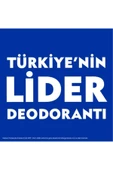 Dry Fresh Kadın Sprey Deodorant 150 ml 2 Li - 4