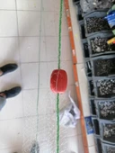 Yavru Balık Yakalama Ağı 5 Metre - 1