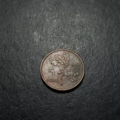 Escoines 3996368bb7b6a3ee71 1973 5Kuruş bronz çt para - 2