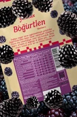 Freeze Dried 3'lü Avantaj Paketi Böğürtlen Kuru Meyve Cipsi - Dondurularak Kurutulmuş Böğürtlen 15Gx3 thumbnail 4