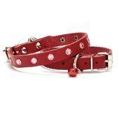 Doggie Taşlı Kedi ve Yavru Köpek Tasması 1,0x19 cm Kırmızı Small - 2