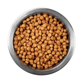 Animal World Hairball Tüy Yumağı Önleyici Tavuklu Kedi Maması 1 Kg Açık Mama - 2