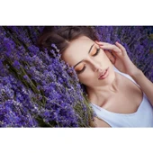 Şoklanmış Lavanta Çiçeği 1 kğ thumbnail 4