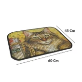 Cattie Kum Toplayıcı Fonksiyonel Renkli Kedi Paspası 45 x 60 cm thumbnail 5