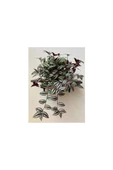 Tradescantia Zebrina (TELGRAF) Çiçeği 10-20 Cm thumbnail 1