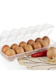 Ar Armese Titiz Eggo Yumurta Kabı 12'li Ap-9181 - 2