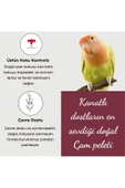 BLUECAT Çam Peleti Kuş Kumu Net 2.5 kg - 5 lt - Topaklanmayan %100 Organik Çam Peleti Kuş Kumu - 3