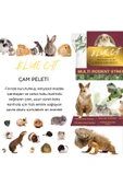 BLUECAT Çam Peleti Tavşan Kumu Net 20 kg - 40 lt - Topaklanmayan %100 Organik - 2
