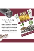 BLUECATS Çam Peleti Kedi Kumu Net 2.5 kg - 5 lt - Topaklanmayan %100 Organik Cam Peledi - 3