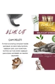 BLUECAT Çam Peleti Kedi Kumu Net 10 kg - 20 lt - Topaklanmayan %100 Organik - 4