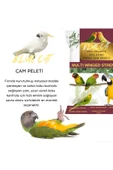 BLUECAT Çam Peleti Kuş Kumu Net 2.5 kg - 5 lt - Topaklanmayan %100 Organik Çam Peleti Kuş Kumu - 2