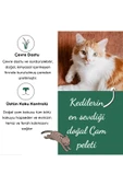BLUECATS Çam Peleti sürüngen Kumu Net 5 Kg - 10 Lt - Topaklanmayan %100 Organik Cam Peledi - 3