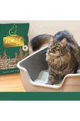 BLUECATS Çam Peleti sürüngen kumu Net 15 Kg - 30 Lt - Topaklanmayan %100 Organik Cam Peledi - 2