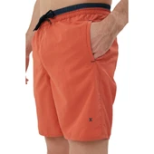 Erkek Deniz Şortu 1315021 thumbnail 10