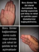 Eagenset Hazır Çapari Kombini Damla Simli Boru Sim Çok Renkli BSCR01 Makarada thumbnail 5