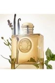 Burberry - GODDESS EAU DE PARFUM INTENSE - ODUNSU - EDP 100ML KADIN PARFÜM - 3