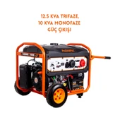 Palmera Pa13000jmd Benzinli Monofaze Trifaze Dual Jeneratör 12.5 Kva - 5