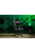 RAZER İskur V2 X Siyah Oyuncu Koltuğu RZ38-05310100-R3G1 thumbnail 3