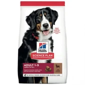 Hill's SCIENCE PLAN Kuzulu ve Pirinçli Büyük Irk Yetişkin Köpek Maması 12+2kg - 1
