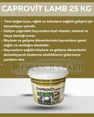 Caprovit Lamb 25 Kg Kuzular Için Yem Katkısı thumbnail 1