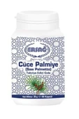 Ersağ Cüce Palmiye - 1