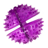 Royalist WB17059 Köpek Oyun Topu - 1