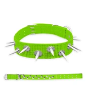 Dokuma Çivili Köpek Boyun Tasması - 5*80 cm - Yeşil - 1