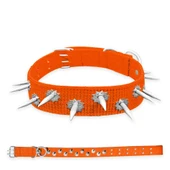 Dokuma Çivili Köpek Boyun Tasması - 5*80 cm - Turuncu - 1