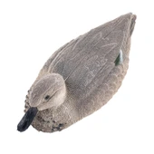 Bahri Ördek Mühresi - Tüylü - Dişi - Yüzen Mühre - Savage - HD 026R - 4