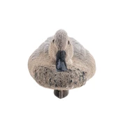 Bahri Ördek Mühresi - Tüylü - Dişi - Yüzen Mühre - Savage - HD 026R - 5