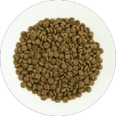 Prochoice Yetişkin Kediler İçin, Hipoalerjenik, Kuzu Etli Ve Pirinçli Kuru Mama 2 kg - 3