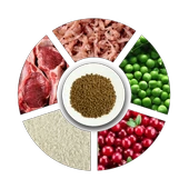 Prochoice Yavru Kediler İçin, Hipoalerjenik, Kuzu Etli Ve Pirinçli Kuru Mama 2 kg - 4