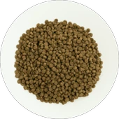 Prochoice Yavru Kediler İçin, Hipoalerjenik, Kuzu Etli Ve Pirinçli Kuru Mama 2 kg - 3