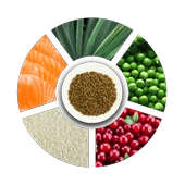 Prochoice Yetişkin Kediler İçin, Hipoalerjenik, Somon Balıklı Ve Pirinçli Kuru Mama 2 kg - 4