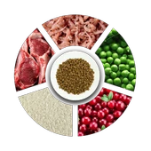 Prochoice Yetişkin Kediler İçin, Hipoalerjenik, Kuzu Etli Ve Pirinçli Kuru Mama 2 kg - 4