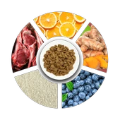 Prochoice Yetişkin Köpekler İçin, Hipoalerjenik, Kuzu Etli Ve Pirinçli Kuru Mama 18 kg - 3