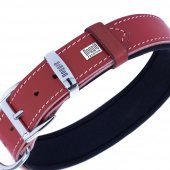 Doggie Deri Kemik Desenli Boyun Tasması M 4x52-60cm Kırmızı - 2