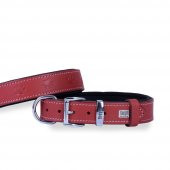 Doggie Deri Pati Desenli Boyun Tasması M 2.5x37-45cm Kırmızı - 1