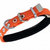 Doggie Comfort Yumuşak Dokuma Köpek Boyun Tasması S 1.5x20-25cm Turuncu - 3