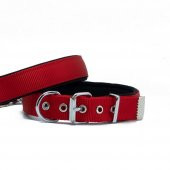 Doggie Comfort Yumuşak Dokuma Köpek Boyun Tasması M 2.5x37-45cm Kırmızı - 1