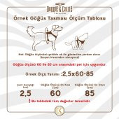 Doggie Comfort RoninYumuşak Dokuma Göğüs Tasması L 2x55-65cm Royal Mavi - 3