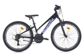Bianchi JM00243 V Fren 21 Vites 24 Jant Dağ Bisikleti Siyah Mor 31 Kadro - 1