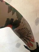 Çift Kol Giyilebilir Dövme Kanatlı Desenler Tattoo Sleeve thumbnail 1