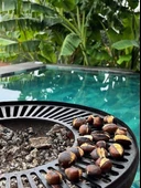 Ateş Çukuru Orta Boşluklu Izgara thumbnail 1