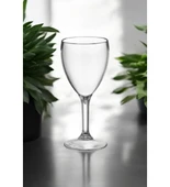 Kırılmaz Şarap Kadehi 255ML - 1