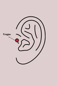 316L Çelik Gold Renk Üçgen Zirkon Taşlı Tragus Piercing - 2