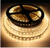 CATA ŞERİT LED 12 V 10 W 120 CHİP 5 METRE GÜNIŞIĞI CT-4540 thumbnail 1